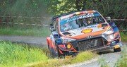 현대차, WRC 벨기에 랠리 우승-준우승 차지