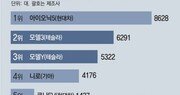 [단독]테슬라만 왜… ‘車점검 필수정보’ 미제출, 국내서 6년째 정밀검사 못해 안전 위협