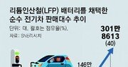 국내 전기차, 값싼 ‘LFP배터리’ 탑재 늘어날듯