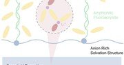 삼성SDI 연구팀, ‘리튬메탈배터리’ 단점 해소한 기술 개발… 차세대 제품 상용화에 한 발짝