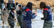 멸종위기종 돌아온 미호강… 현대모비스, 생태복원 사업 궤도 올랐다