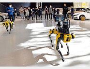 현대자동차그룹이 12월 16일부터 이틀간 현대모토스튜디오 고양에서 글로벌 로봇 업체 보스턴 다이나믹스의 로봇개 ‘스팟’을 시연했다. [사진 제공 · 현대자동차그룹]