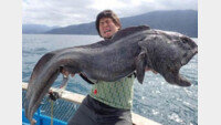 日 홋카이도서 잡힌 ‘괴물 물고기’, 정체 알고보니…