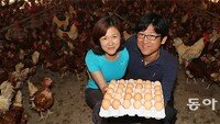 밀집사육 벗어난 닭 ‘황금알’을 낳다