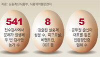 계란소비 위축… 가격 25% 떨어져… 적발 농가, 소비자 신뢰회복 안간힘
