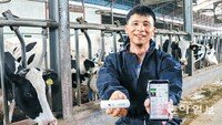 IoT로 젖소 키우니 우유 생산량 30%↑… 손정의도 반한 기술