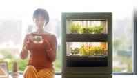 [Tech&]“메리골드 꽃이 피었습니다”식물생활가전 ‘LG 틔운’
