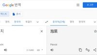 서경덕, 구글에 “김치, 중국어로 ‘신치’(辛奇)” 정정 요청
