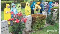 유치원생들 비옷 입고 참전용사 묘역 참배