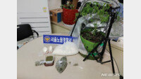 서울 시내서 필로폰 제조·대마초 재배…30대 남성 구속