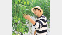 감자농사꾼이 스마트팜 경영인으로… “재배-유통-마케팅 망라 사업모델 꿈”
