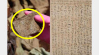 ‘어머니 보고 싶다…’ 애틋한 조선시대 한글 편지, 보물 됐다