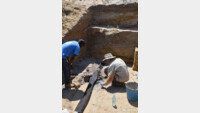 ‘세계 最古’ 석기시대 목조 구조물 발견…47만년 전 추정