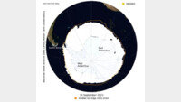 펭귄 살 곳 없어진다…남극 빙하 면적 역대 최소치 기록