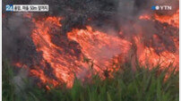하와이 화산 용암 분출, 시내 중심 향해…“큰 피해 없길”