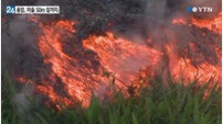하와이 화산 용암, 주말 주택가-시내 중심 향할 듯…속도 점점 빨라져