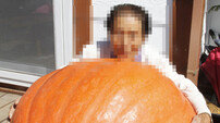 1톤 자이언트 호박 화제, 인공적으로 제조 가능하다고?… 맛은 어떨까?