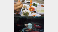[오늘의 채널A] 한식 밑반찬 재사용 실태 공개