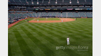 타자친화적 홈구장, 김현수에게 딱이야