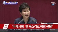[박근혜 대통령 국회 연설]“개성공단 중단, 제반 조치의 시작에 불과”(1보)