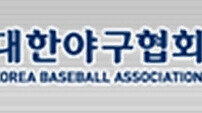 [베이스볼 브레이크] ‘관리단체’ 지정 KBA 운명은? 