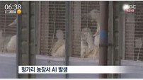 유럽 AI 확산, 헝가리 등 6개국 발생 공식 보고 