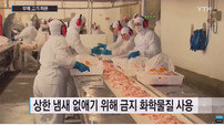 브라질 썩은 닭 논란…국내 수입된 10만 7천여톤 중 80% BRF 제품