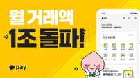 [비즈 브리핑] 카카오페이, 출범 1년 만에 월 거래 1조 돌파