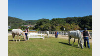 소방관 트라우마 치유하는 ‘재활·힐링 승마’