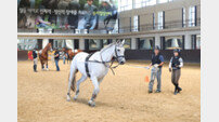 말 조련 전문인력 양성과정 교육생 모집