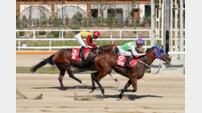 ‘암말 최강자’ 실버울프, 2연패 노린다