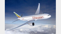 에티오피아 여객기 추락 사고…승객·승무원157명 전원 사망