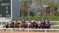 [경마 단신] 마사회, 5월 경마시행계획 발표 外