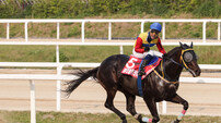 트리플 크라운 시리즈 ‘서울 찬가’