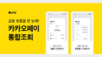 금융 흐름 한눈에…카카오페이 통합조회 서비스
