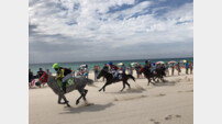 “곽지 해변으로 이색 경마 보러 오세요”