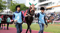 1등급 경주마 1800m 대결…장거리 기대주를 찾아라