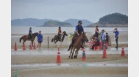 [경마 단신] 12일부터 ‘농어촌오지 유소년 승마대항전’ 外