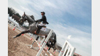 ‘말산업 활성화’ 국산 어린말 승마대회 열린다