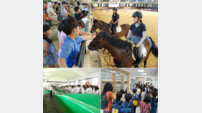 [경마 포커스] “말 관련 직업군이 이렇게 많은지 몰랐어요”