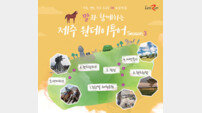 “말(馬)과 함께하는 제주 원데이 투어 오세요”