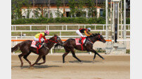 가온챔프, 투데이…한국경주마 자존심 걸었다