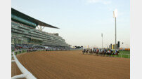 [경마 단신] 세계 최고 상금대회 사우디컵 신설 外