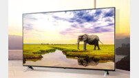 LG 에너지효율 1등급 나노셀TV 출시
