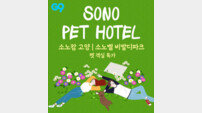 G9, 펫 전용 객실 할인 판매
