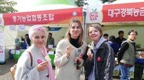 11월 경북사과의 붉은 매력에 푹 빠져볼까?