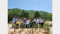 두나무, 임직원과 나무심기 봉사활동…“탄소 절감에 동참 뿌듯”