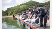 양구군, 뱀장어 치어 3만2000마리 방류 