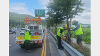 울산시설공단, 태풍·강풍 대비 가로수 안전점검 실시
