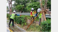 울산시설공단, 추석 대비 가로변 조경관리공사 실시